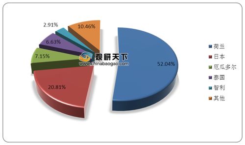 2021年中國(guó)花卉市場(chǎng)調(diào)研報(bào)告 市場(chǎng)規(guī)模、現(xiàn)狀與發(fā)展趨勢(shì)分析